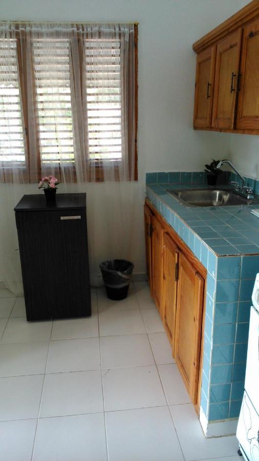 Boxy Villa Apartments Punta Cana Exteriér fotografie